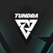 Jadwal Padat, Tundra Esports Putuskan Mundur dari DreamLeague Season 26